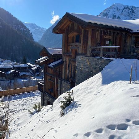 Chalet Des Trappeurs Coeur Vanoise 15 Persons La Plagne Dış mekan fotoğraf