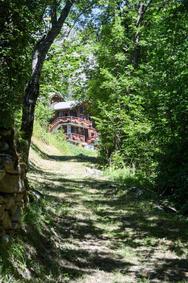 Chalet Des Trappeurs Coeur Vanoise 15 Persons La Plagne Dış mekan fotoğraf