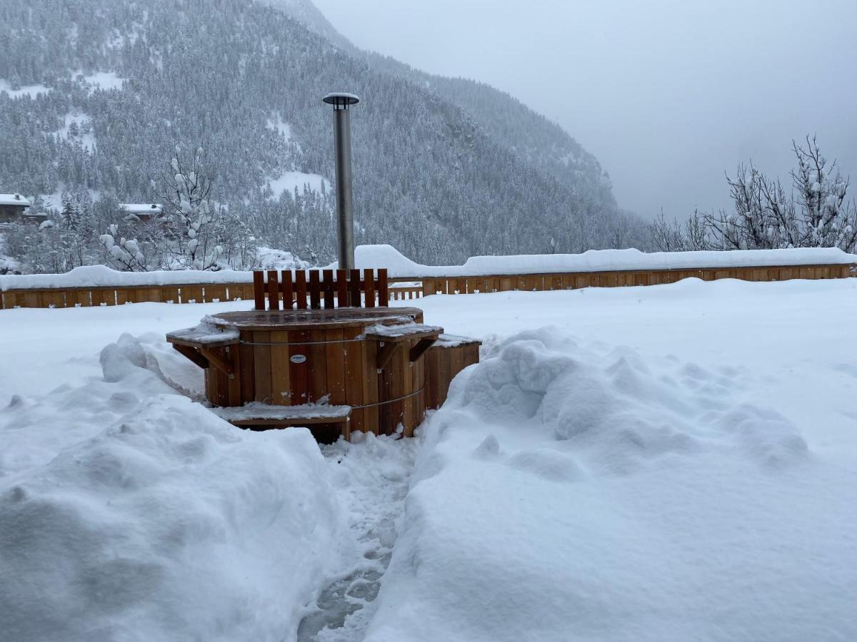 Chalet Des Trappeurs Coeur Vanoise 15 Persons La Plagne Dış mekan fotoğraf