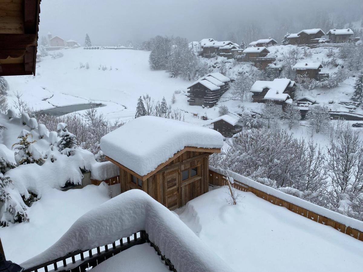 Chalet Des Trappeurs Coeur Vanoise 15 Persons La Plagne Dış mekan fotoğraf